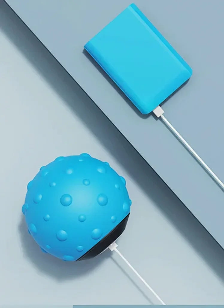 Electric Vibration Massage Ball – Deep Tissue Muscle Relaxation & Recovery Device
